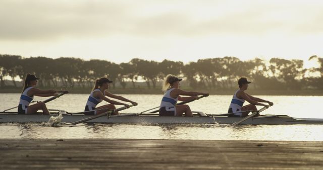 Women rowing team training at sunrise on calm lake - Download Free Stock Images Pikwizard.com