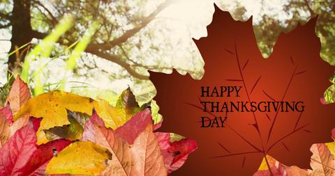 Thanksgiving Day Greeting Amidst Colorful Autumn Leaves - Download Free Stock Images Pikwizard.com