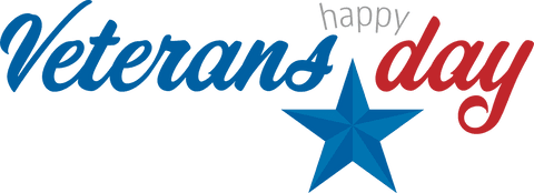 Transparent Veterans Day Logo with Star Element - Download Free Stock Videos Pikwizard.com