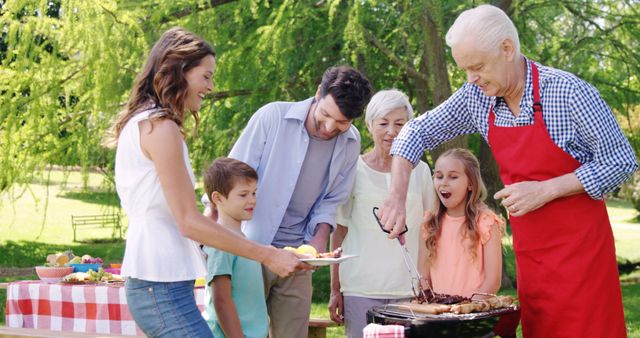 Multigenerational Family Enjoying Outdoor Summer Barbecue Picnic - Download Free Stock Images Pikwizard.com