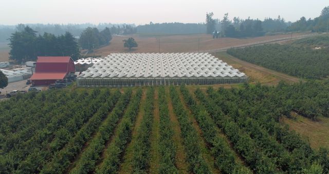Aerial View of Vineyard with Greenhouse in Countryside - Download Free Stock Photos Pikwizard.com