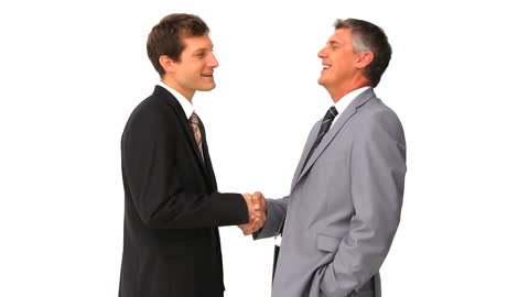 Successful Business Handshake Between Professional Colleagues
