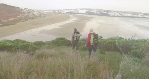Hikers overlooking scenic coastal landscape with sandy beach