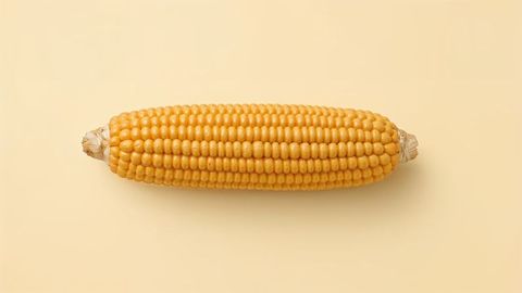 Golden ear of corn in minimalist composition