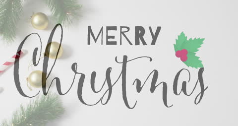Stylish Merry Christmas Greeting with Elegant Decorations