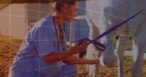 Kneeling veterinarian examining horse hoof with digital health graph overlay in stable