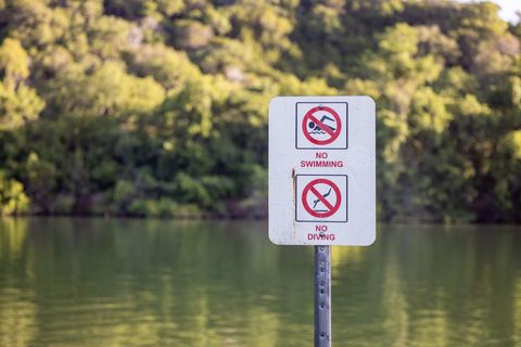 No swimming no diving warning sign by tranquil lake