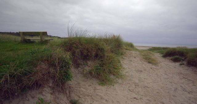 Lonely Bench on Sandy Dune by Windy Beach - Download Free Stock Images Pikwizard.com