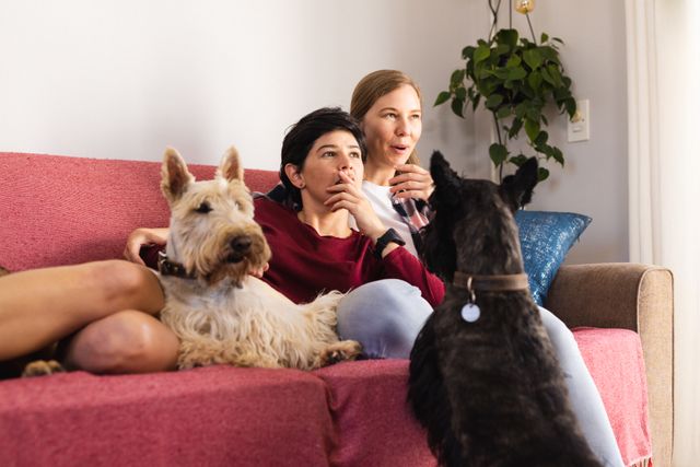Caucasian shocked lesbian couple looking away while relaxing with scottish terriers in living room. Sofa, unaltered, dog, pet, care, love, togetherness, homosexual, lifestyle and home concept.