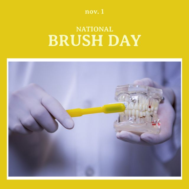 Dentist in gloves using toothbrush on dental model, promoting dental health awareness and proper brushing technique. Perfect for educational content, health campaigns, dental health awareness, and National Brush Day promotions.