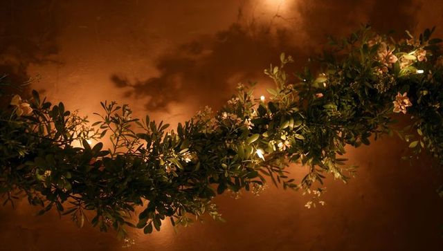 Warm greenery garland casting soft leaf shadows with fairy lights on textured plaster wall