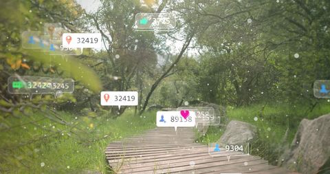 Conceptual Social Media Statistics in Tranquil Natural Setting