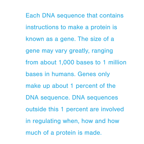 Transparent Text on DNA Protein Instructions - Download Free Stock Videos Pikwizard.com