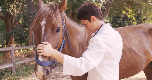 Veterinarian wearing white coat tenderly examining horse in natural rural environment. Scene suitable for topics related to veterinary care, equine health, animal healthcare professionals, veterinary sciences, and rural veterinary practices.