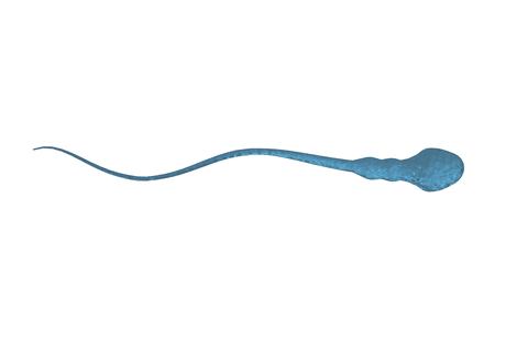 Transparent blue spermatozoid illustration for biological concepts