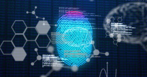 Digital Fingerprint Interface with Data Stream