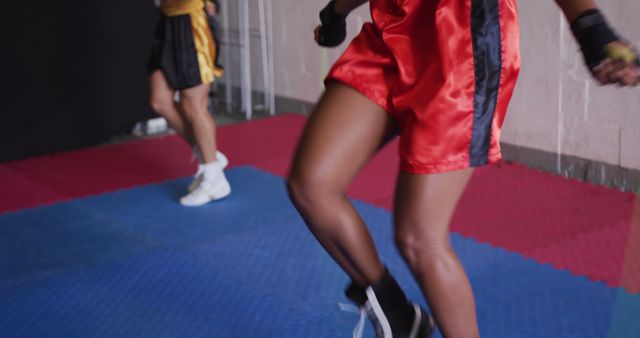 Female Boxers Jumping Rope During Training Session - Download Free Stock Images Pikwizard.com