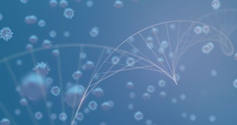 DNA Helix Rotating Amidst Coronavirus Particles on Digital Interface - Download Free Stock Images Pikwizard.com