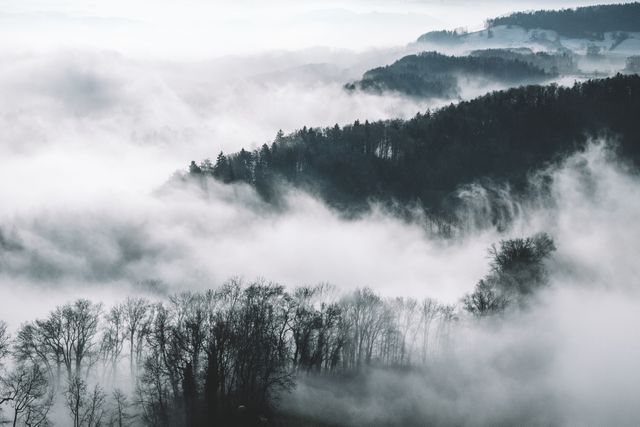 Misty Landscape of Foggy Mountains and Leafless Trees - Download Free Stock Photos Pikwizard.com