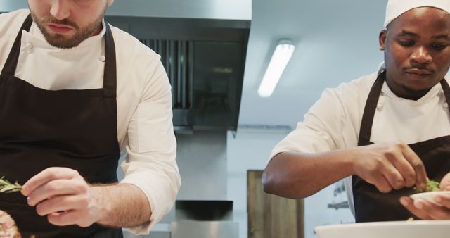 Professional Chefs Preparing Gourmet Dishes in Kitchen - Download Free Stock Images Pikwizard.com