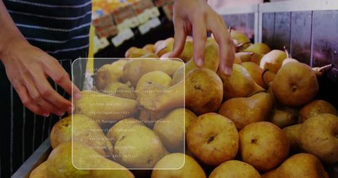 Caucasian Man Selecting Pears in Grocery Store with Data Overlay