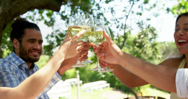 Friends Toasting with Wine Glasses Outdoors - Download Free Stock Images Pikwizard.com