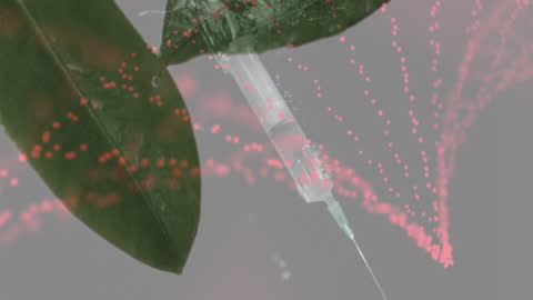 Conceptual Brain Animation with Data Processing Visuals