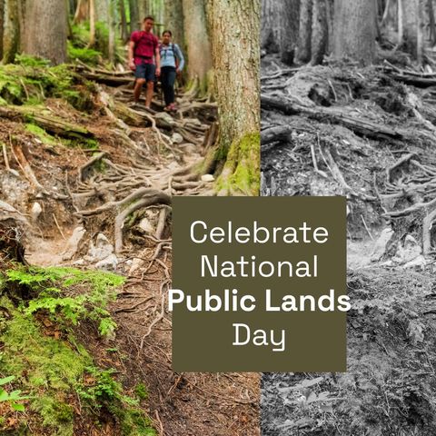 Couple Hiking in Lush Forest Celebrating National Public Lands Day