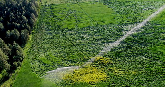 Aerial view of green agricultural field with crop circle patterns - Download Free Stock Images Pikwizard.com