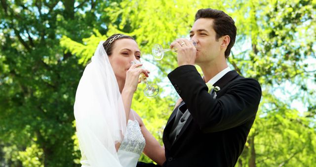 Bride and Groom Toasting with Champagne at Outdoor Wedding Ceremony - Download Free Stock Images Pikwizard.com