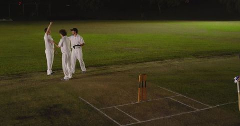 Diverse male cricketers celebrating with high-five on floodlit outfield by stumps at night