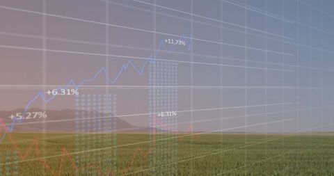 Virtual Data Chart Overlaying Serene Agriculture Field