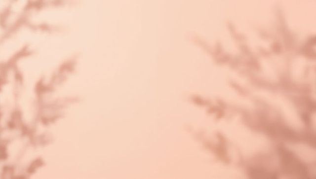 Peach botanical shadow silhouettes casting soft warm minimal backdrop for design