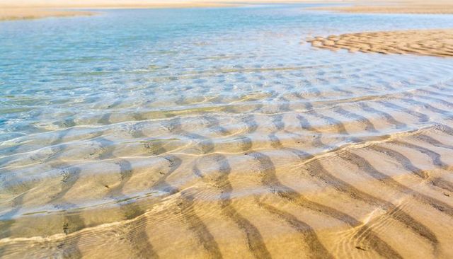 Shallow tidal channel with rippled sand shimmering in clear water at low tide