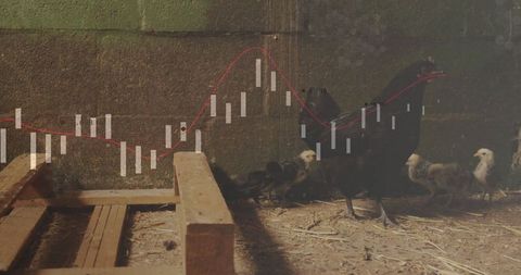 Financial Insights in Agriculture: Livestock and Market Data Overlay