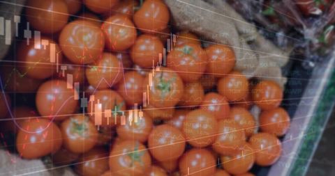 Ripe market tomatoes meeting financial charts illustrating food price volatility