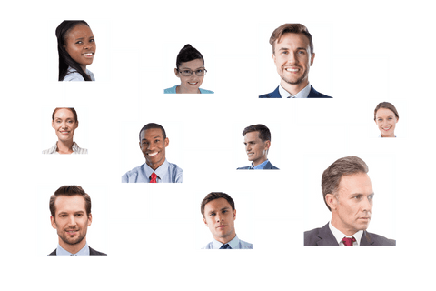 Diverse Business Team Connections on Transparent Background - Download Free Stock Videos Pikwizard.com