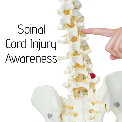 spinal cord awareness with anatomical model - Download Free Stock Templates Pikwizard.com