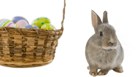 transparent bunny and easter eggs in wicker basket - Download Free Stock Videos Pikwizard.com