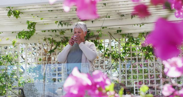 Senior Woman Drinking Coffee in Flower-Filled Garden - Download Free Stock Images Pikwizard.com