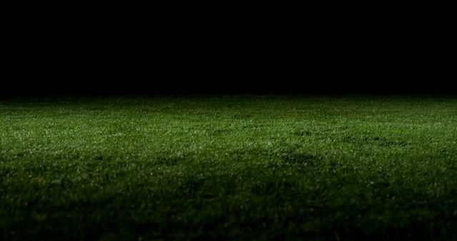 This image captures a lush green lawn illuminated against a dark background at night, creating a stark contrast. Perfect for usage in nature-related themes, garden projects, night-related themes or backdrops for text overlays and graphics.