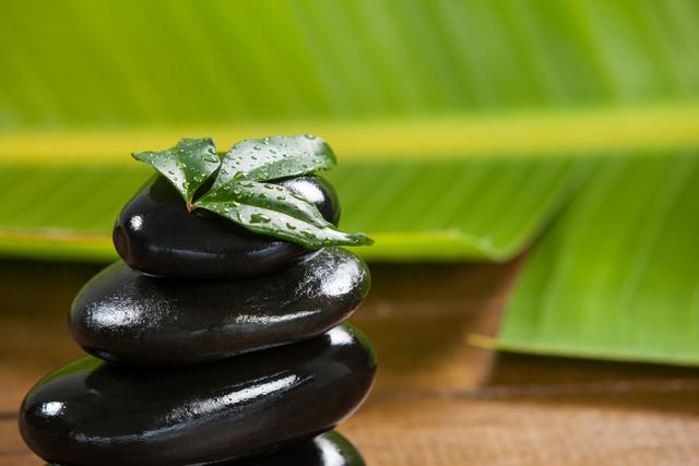 Stacked black pebble stones with green leaves on top, set against a background of large green leaves. Ideal for use in wellness, spa, and relaxation contexts. Perfect for promoting themes of balance, harmony, and tranquility in advertisements, websites, and wellness blogs.