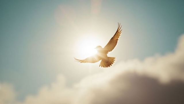Majestic Bird Silhouette Flying in Golden Sunlight