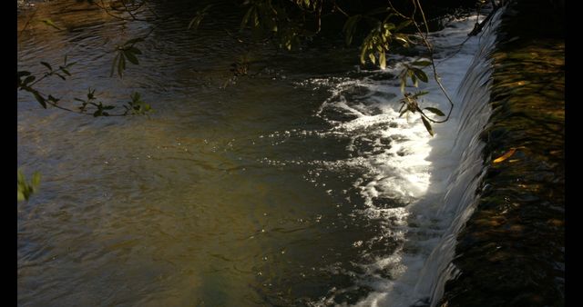 Sunlight glistens on the water as it cascades over a small, serene waterfall, with copy space - Download Free Stock Photos Pikwizard.com