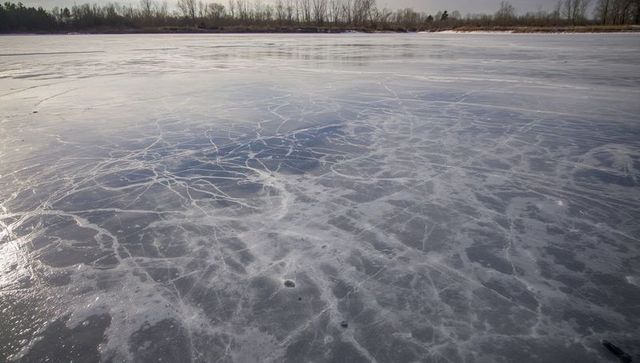 Cracked frozen lake surface with intricate ice fissures and bare winter shoreline