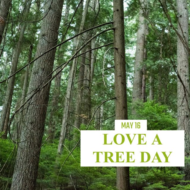 Love a Tree Day Celebration in Lush Forest on May 16 - Download Free Stock Templates Pikwizard.com