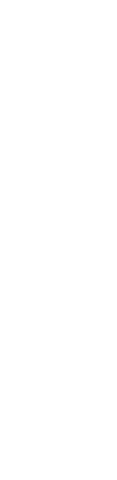 Transparent Businesswoman Silhouette on Transparent Background