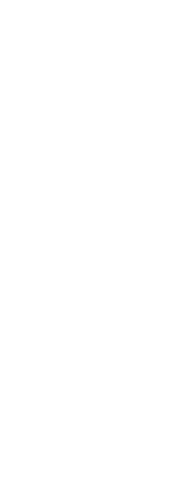 Transparent champagne flute with bubbles for celebrations and elegance