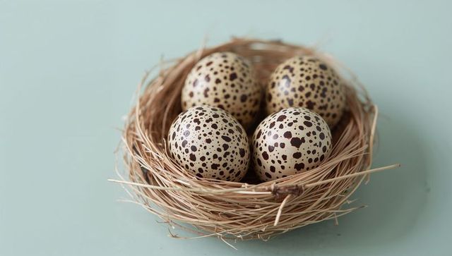 Minimalist nest with four speckled quail eggs on pastel mint background