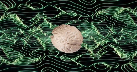 Floating pale beige brain hovering over neon green contour grid futuristic neural visualization